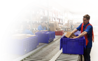 Shipping & Logistics - The Visual Pak Companies
